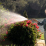 Belmont Garden 75' Metal Hose with Fashion Nozzle