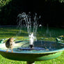 Bird bath with water fountain in a garden setting