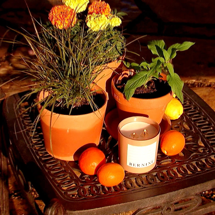 Indoor/Outdoor Plantable Candles